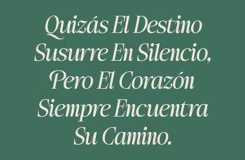 elegant-family-typeface