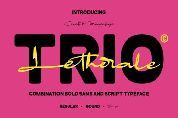 Trio Bold Family Typeface