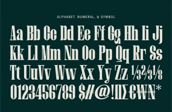 Decorative Serif Typeface