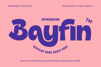 Display Sans Serif Typeface