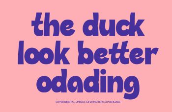 Display Sans Serif Typeface