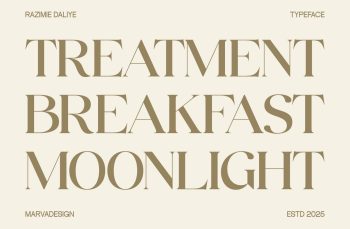 Display Serif Typeface