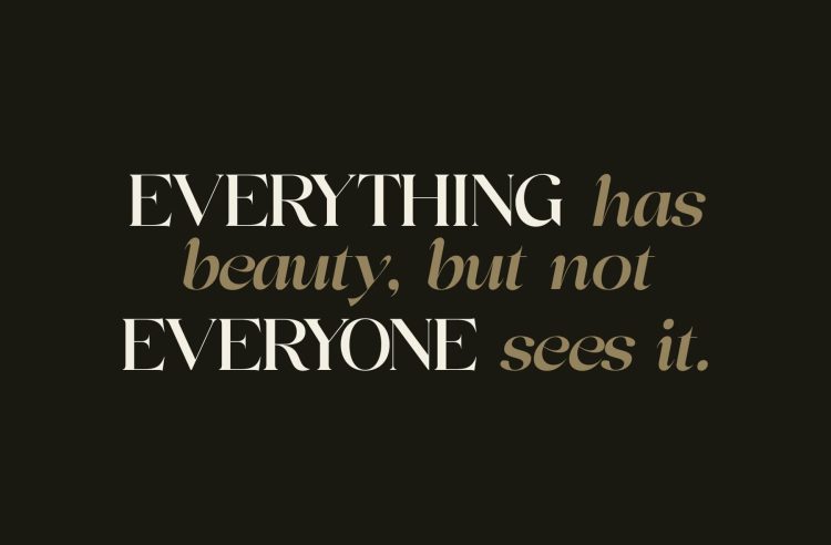 Display Serif Typeface