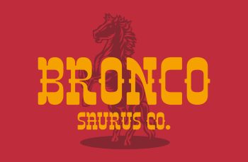 Slab Serif Western Typeface