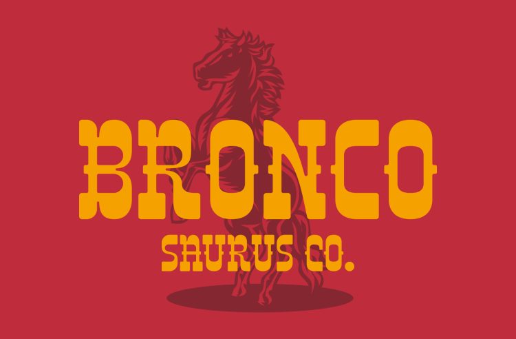 Slab Serif Western Typeface