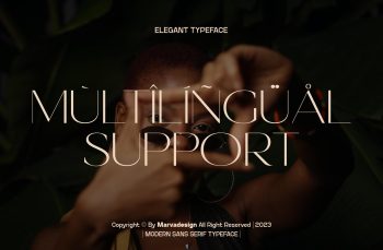 freebies, free font