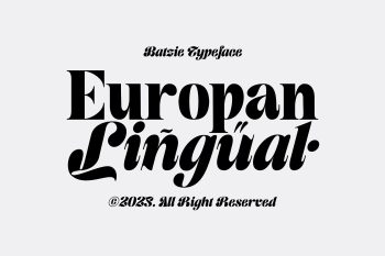 Display Serif Typeface