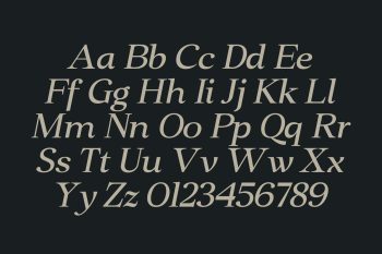 Classic Serif Typeface