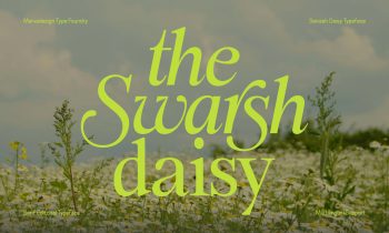 Elegant Serif Typeface