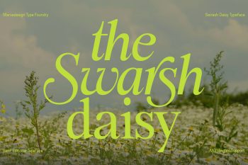 Elegant Serif Typeface