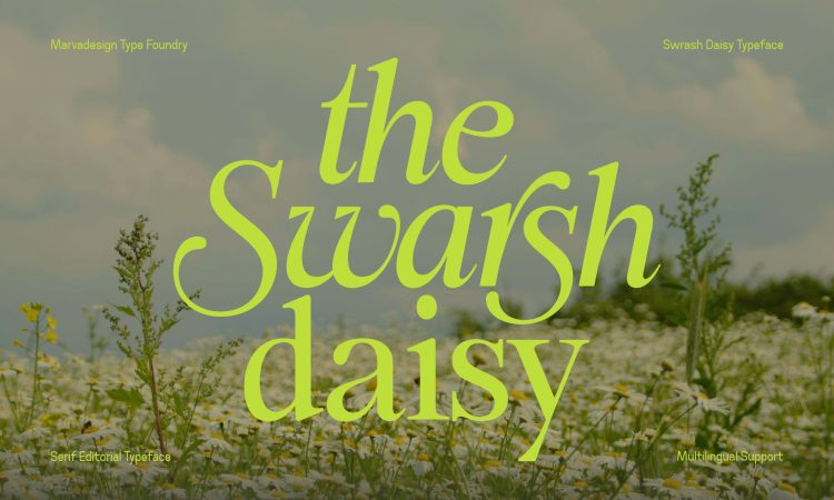 Elegant Serif Typeface