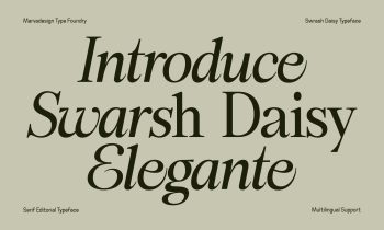 Elegant Serif Typeface