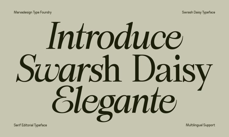 Elegant Serif Typeface