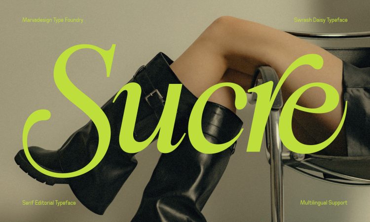 Elegant Serif Typeface