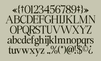 Elegant Serif Typeface