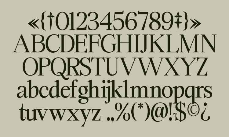 Elegant Serif Typeface