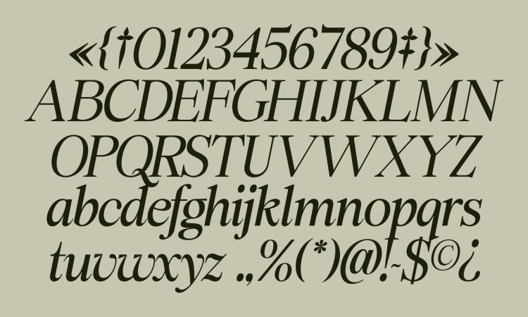 Elegant Serif Typeface
