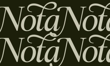 Elegant Serif Typeface