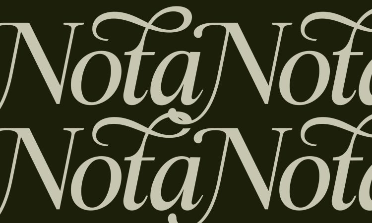 Elegant Serif Typeface