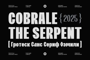Family Grotesk Sans Serif Typeface