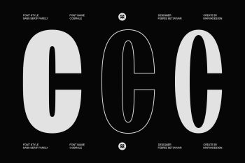 Family Grotesk Sans Serif Typeface