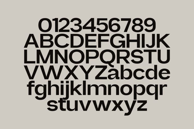 Family Sans Serif Typeface