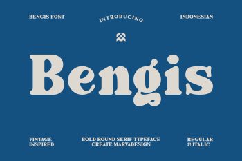 Bold Serif Typeface