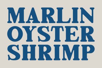 Bold Serif Typeface