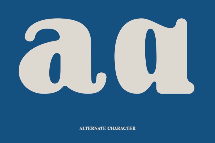 Bold Serif Typeface