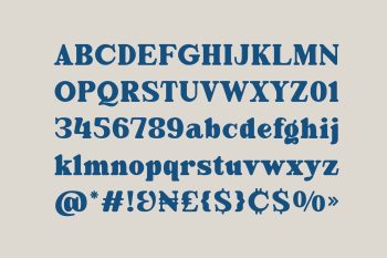 Bold Serif Typeface