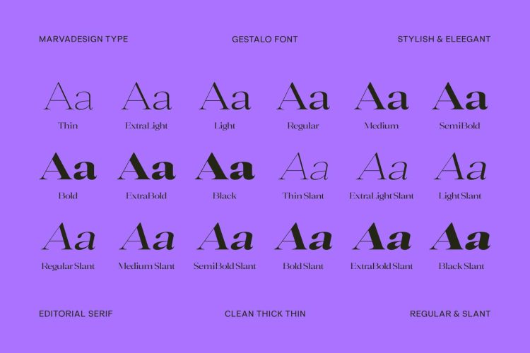 Elegant Family Serif typeface