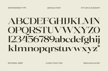 Elegant Family Serif typeface