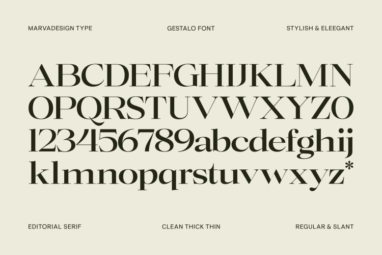 Elegant Family Serif typeface