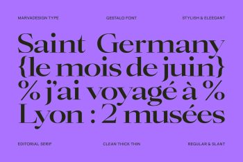 Elegant Family Serif typeface