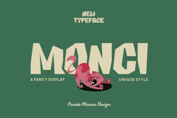 Fancy Display Typeface