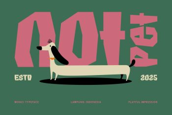 Fancy Display Typeface