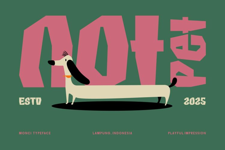 Fancy Display Typeface