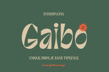 Unique Display Sans Serif Typeface