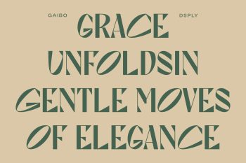 Unique Display Sans Serif Typeface