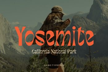 Unique Display Sans Serif Typeface