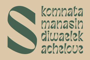 Unique Display Sans Serif Typeface