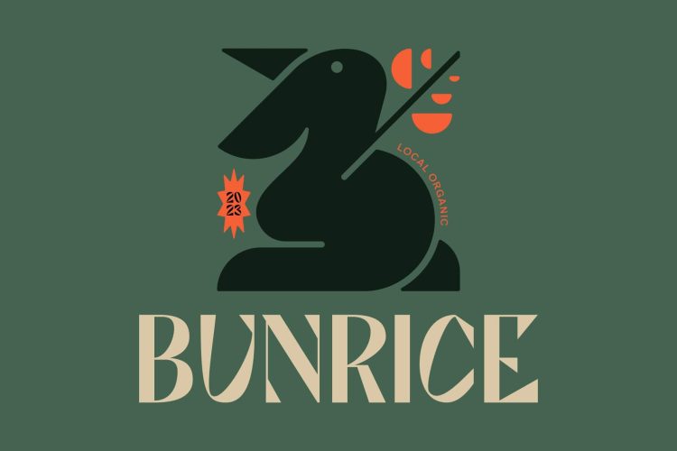 Unique Display Sans Serif Typeface