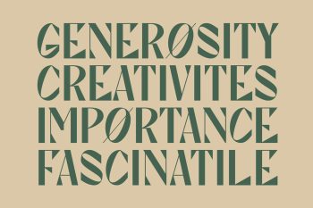 Unique Display Sans Serif Typeface