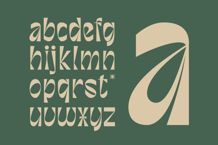 Unique Display Sans Serif Typeface