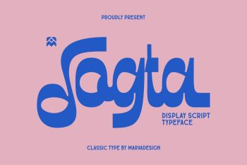 Script Display Typeface