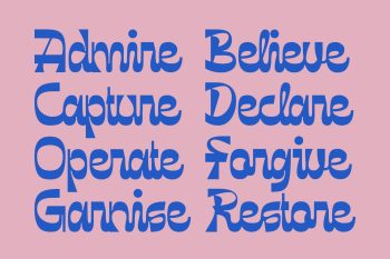 Script Display Typeface