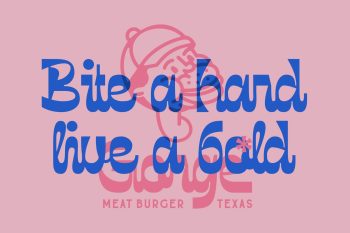 Script Display Typeface