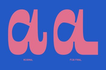 Script Display Typeface