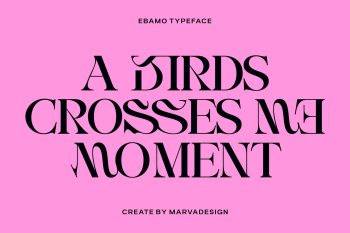 Serif Display Typeface