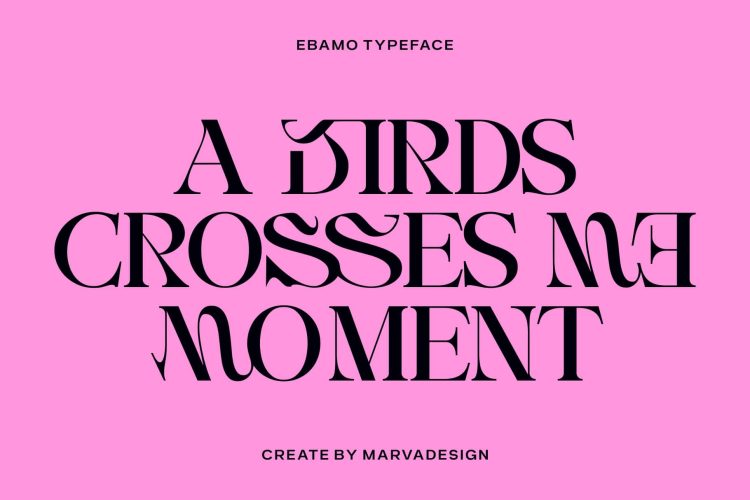 Serif Display Typeface